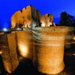 Festivalului Zilele Cetății MedievArtFest Târgu Neamț