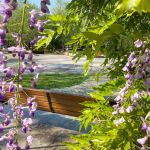 Miscare in aer liber, concerte, sau relaxare, Parcul IOR le are pe toate