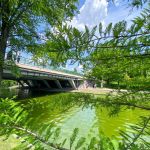 Miscare in aer liber, concerte, sau relaxare, Parcul IOR le are pe toate