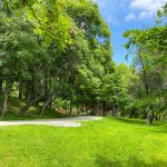 Miscare in aer liber, concerte, sau relaxare, Parcul IOR le are pe toate