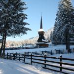 Prima ninsoare din acest an a dezlănțuit distracția la Poiana Brașov