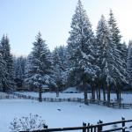 Prima ninsoare din acest an a dezlănțuit distracția la Poiana Brașov