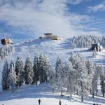 Prima ninsoare din acest an a dezlănțuit distracția la Poiana Brașov