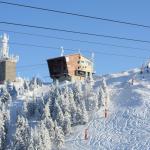 Prima ninsoare din acest an a dezlănțuit distracția la Poiana Brașov