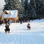 Prima ninsoare din acest an a dezlănțuit distracția la Poiana Brașov