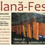 Ardelenii își omagiază „pâinea cea de toate zilele” la Slană-Fest Cluj-Napoca 2014
