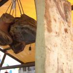 Ardelenii își omagiază „pâinea cea de toate zilele” la Slană-Fest Cluj-Napoca 2014