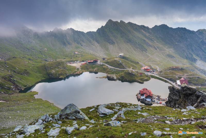 Transilvania