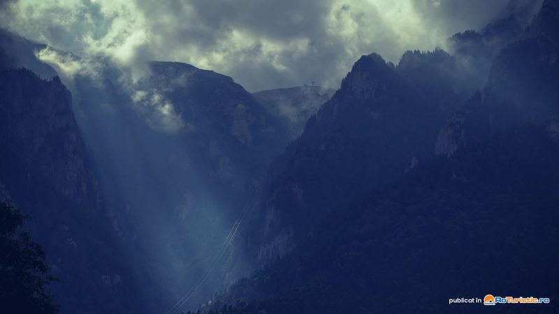 Bușteni