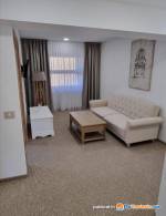 Apartament cu 1 Dormitor - Apartament - Pensiunea Vale Humor Residence