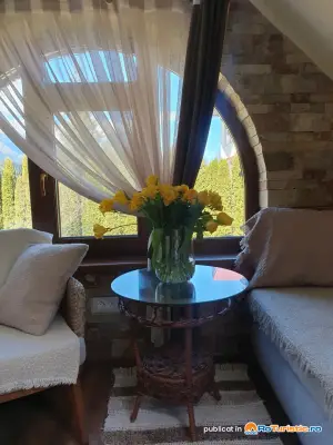 Apartament cu Vedere la Munte - Apartament - Poiana Golf Chalet