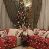 Poiana Golf Chalet - Imagine de ansamblu