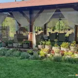 Poiana Golf Chalet - Imagine de ansamblu