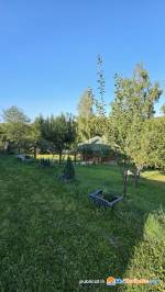 Apple Glade Integral - Unitate integral - Apple Glade
