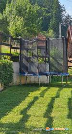 Apple Glade Integral - Unitate integral - Apple Glade
