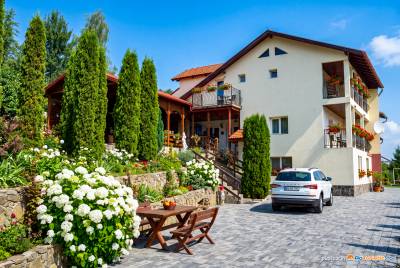 Colina cu Brazi