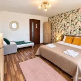 S-House Integral - Unitate integral - S-House