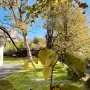 Riverside House - Imagine de ansamblu
