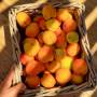 Perryland Urban Farm - Imagine de ansamblu