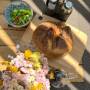 Perryland Urban Farm - Imagine de ansamblu
