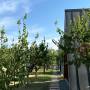 Cabană A-Frame Family - Bungalou - Perryland Urban Farm
