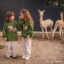 Cabană A-Frame Family - Bungalou - Perryland Urban Farm
