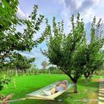 Cabană A-frame Adults Only - Unitate integral - Perryland Urban Farm