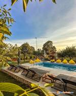 Cabană A-frame Adults Only - Unitate integral - Perryland Urban Farm