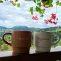 Recele Tiny Nest - Imagine de ansamblu