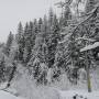 Gloriosa Chalet - Imagine de ansamblu