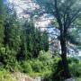 Gloriosa Chalet - Imagine de ansamblu