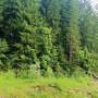 Gloriosa Chalet - Imagine de ansamblu