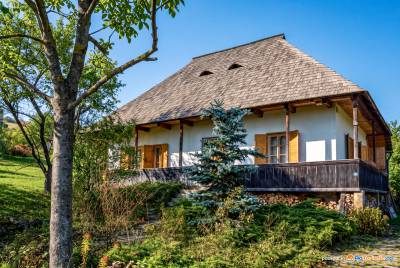 Casa Pintea Bucovina