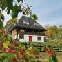 Inside The Village - Imagine de ansamblu