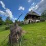 Rooster's Nest Integral - Unitate integral - Inside The Village