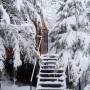 Luna Tiny House - Bungalou - Coniferis Retreat
