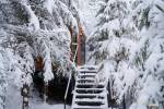 Luna Tiny House - Bungalou - Coniferis Retreat