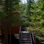 Luna Tiny House - Bungalou - Coniferis Retreat