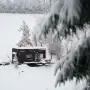Dyno Tiny House - Bungalou - Coniferis Retreat