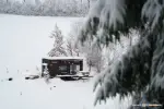 Dyno Tiny House - Bungalou - Coniferis Retreat