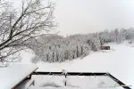 Dyno Tiny House - Bungalou - Coniferis Retreat