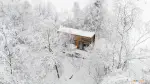 Pistacchio Tiny House - Bungalou - Coniferis Retreat