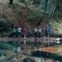 Coniferis Retreat - Imagine de ansamblu