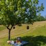 Coniferis Retreat - Imagine de ansamblu