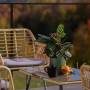 Coniferis Retreat - Imagine de ansamblu