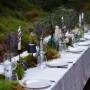 Coniferis Retreat - Imagine de ansamblu