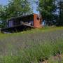 Coniferis Retreat - Imagine de ansamblu