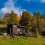 Coniferis Retreat - Imagine de ansamblu