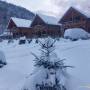 Aroa Mountain Zărnești - Imagine de ansamblu