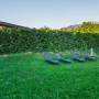 Thomhof Chalets - Imagine de ansamblu